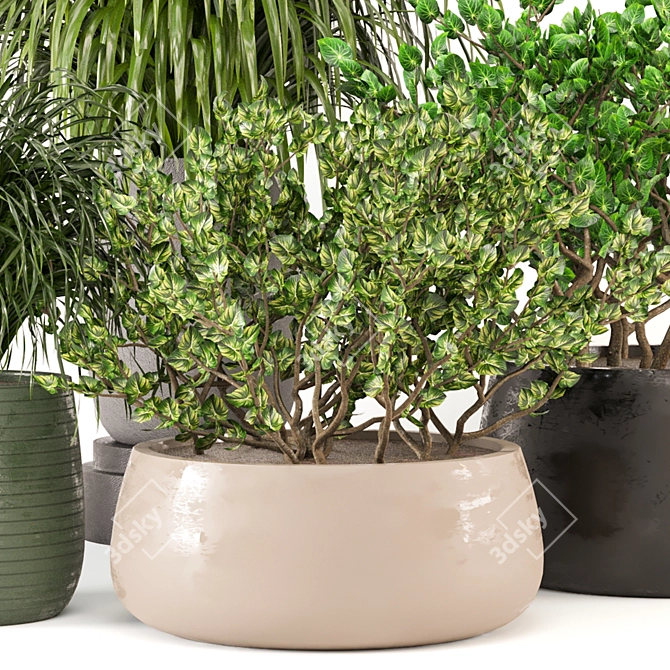 3D Indoor Plants Collection 485 3D model image 3