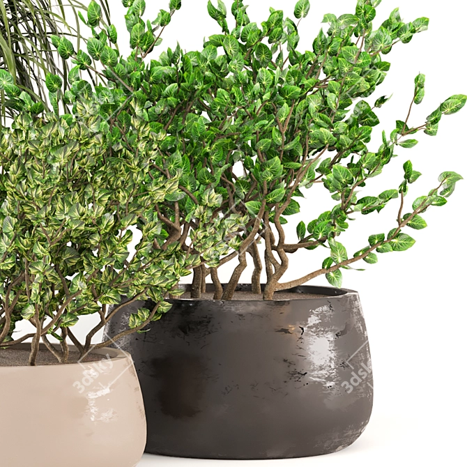 3D Indoor Plants Collection 485 3D model image 4