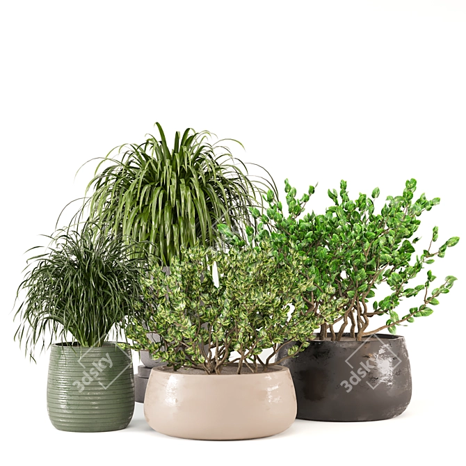 3D Indoor Plants Collection 485 3D model image 6