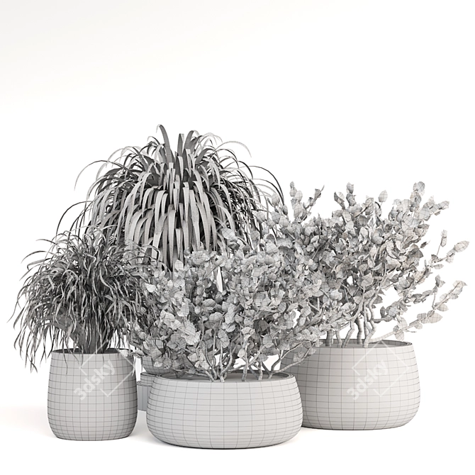 3D Indoor Plants Collection 485 3D model image 7