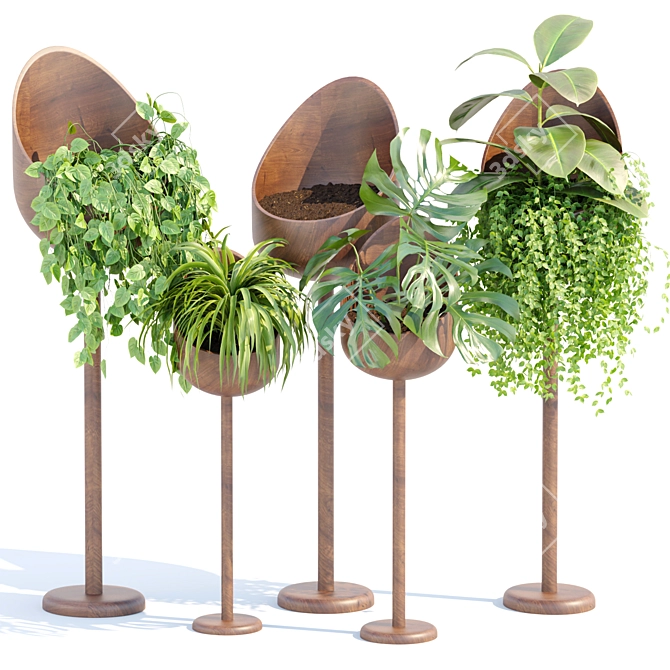 Modern Indoor Plants Collection 132 3D model image 1