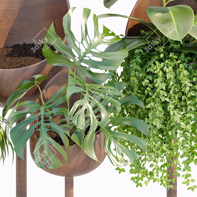 Modern Indoor Plants Collection 132 3D model image 2