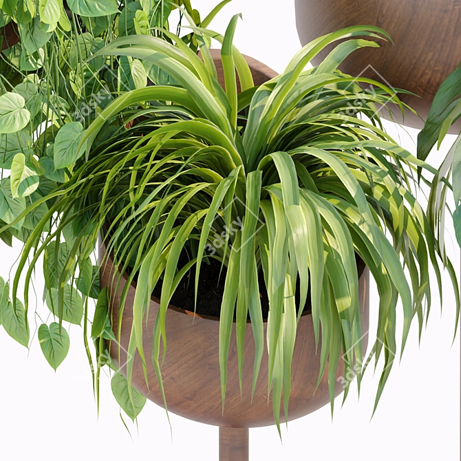 Modern Indoor Plants Collection 132 3D model image 3