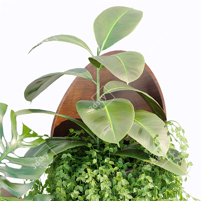 Modern Indoor Plants Collection 132 3D model image 5