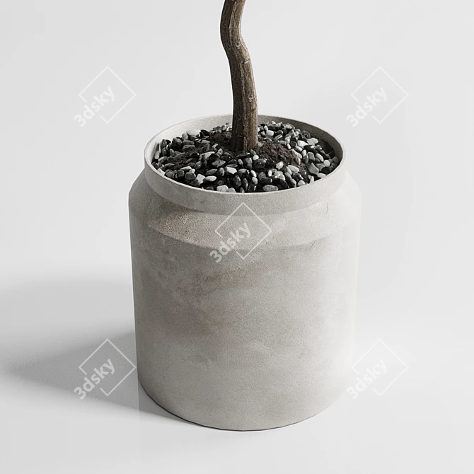 Concrete Dirt Vase Indoor Plant 3D model image 2