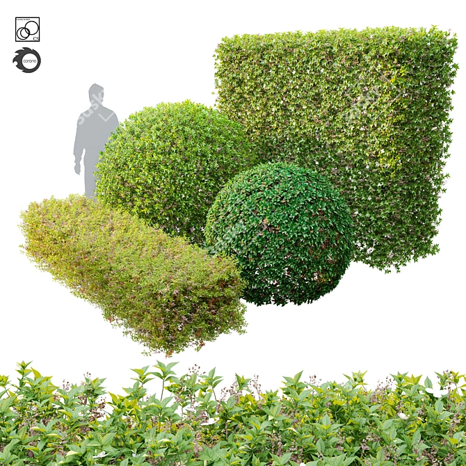 Versatile Topiary Scatter Bushes 3D model image 1