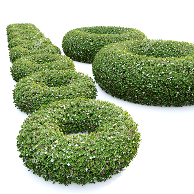 Versatile Topiary Scatter Bushes 3D model image 5