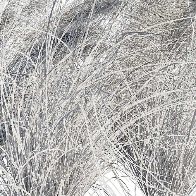 Pink Muhly Grass 3D Model 3D model image 6