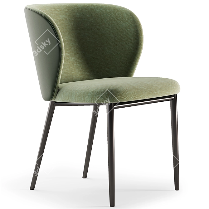 Capri Modern Chair 3D Model 3D model image 1