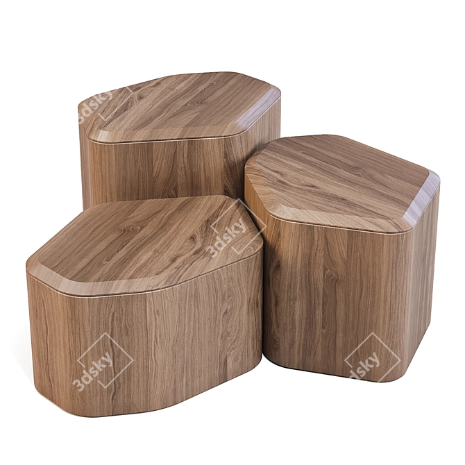 BluDot Acacia Side Storage Tables 3D model image 2