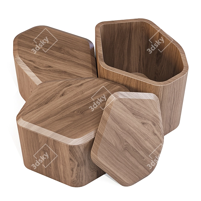 BluDot Acacia Side Storage Tables 3D model image 5