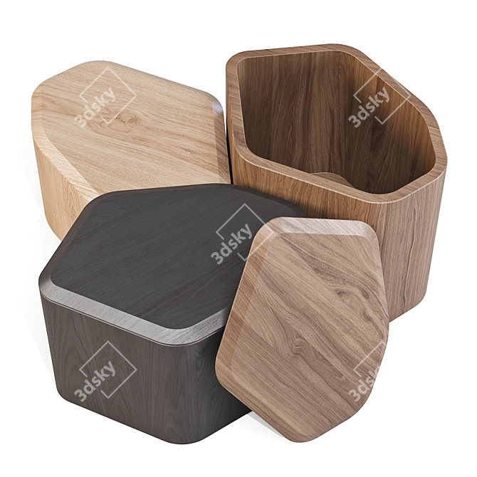 BluDot Acacia Side Storage Tables 3D model image 6