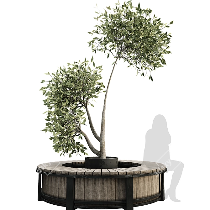 Modern Outdoor Plant Set 3D 3D model image 1