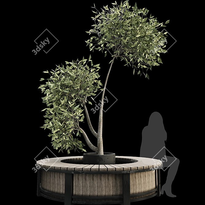 Modern Outdoor Plant Set 3D 3D model image 2