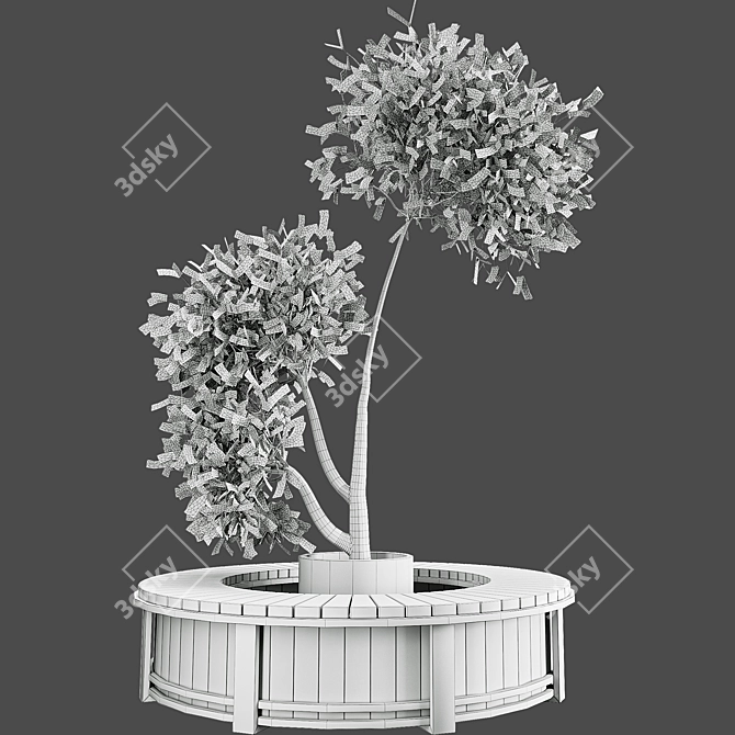 Modern Outdoor Plant Set 3D 3D model image 3