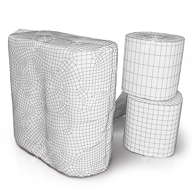  2x2 Toilet Paper Rolls Pack 3D model image 5