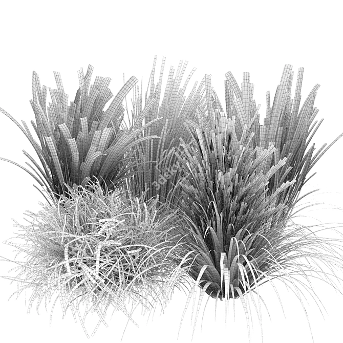 Outdoor Switchgrass Northwind 3D Model 3D model image 7