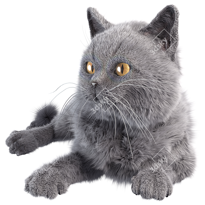 Sleek Gray Cat 4K Texture 3D model image 1