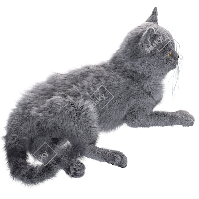 Sleek Gray Cat 4K Texture 3D model image 4