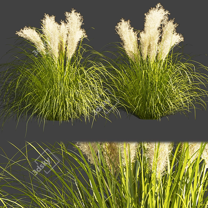  High-Quality Outdoor Grass Collection 3D model image 1