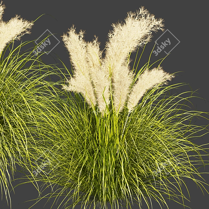  High-Quality Outdoor Grass Collection 3D model image 3