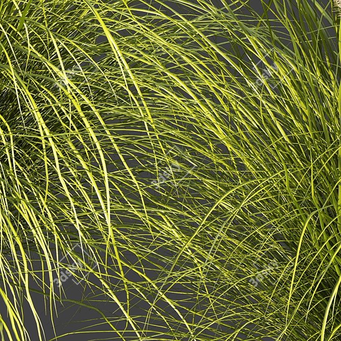  High-Quality Outdoor Grass Collection 3D model image 4