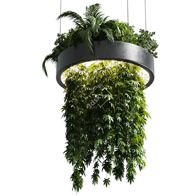 Title: Metal Hanging Indoor Plant 3D model image 2