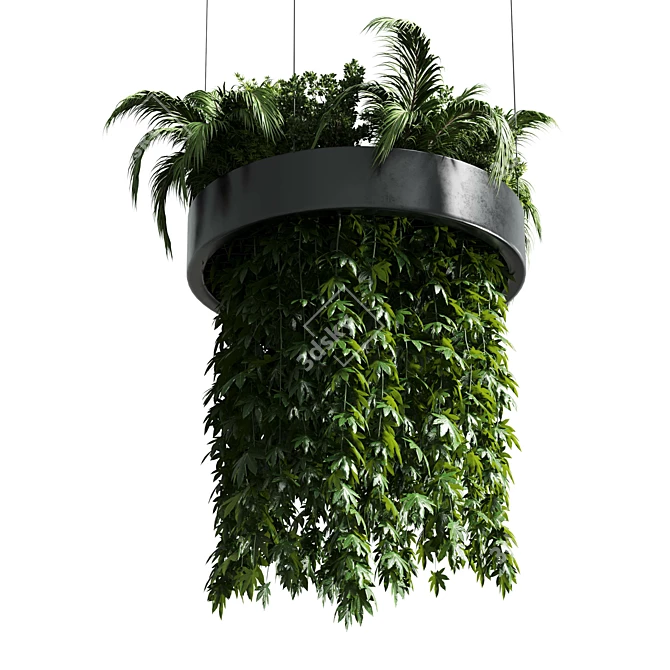 Title: Metal Hanging Indoor Plant 3D model image 3