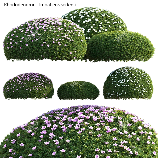 Versatile 3D Plant Models Collection 3D model image 1