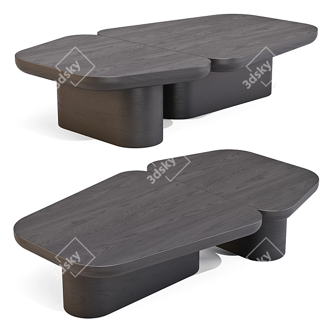 Pangea Unique Dual Coffee Table 3D model image 1