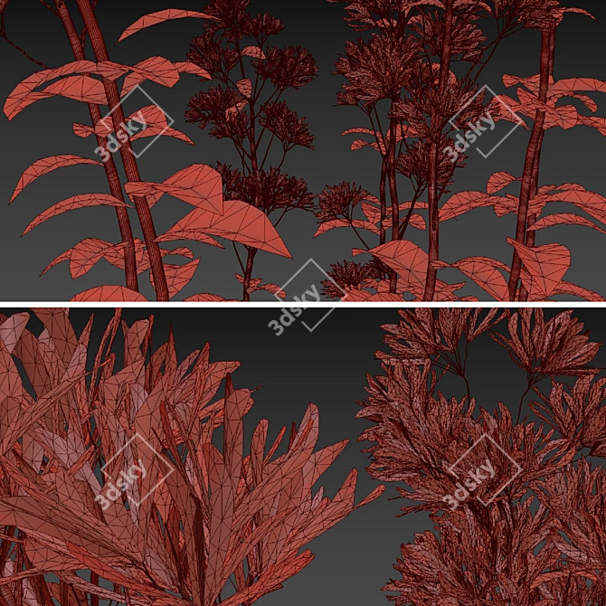 Joe Pye Weed Plants Set 3D model image 6