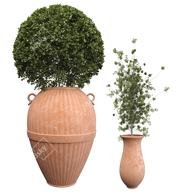 Botanical Beauties in Clay Pots 3D model image 3