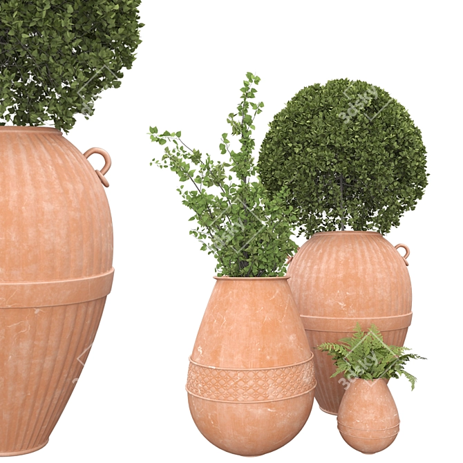 Botanical Beauties in Clay Pots 3D model image 8