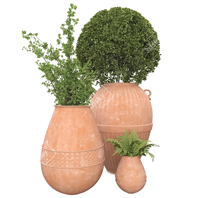 Botanical Beauties in Clay Pots 3D model image 13