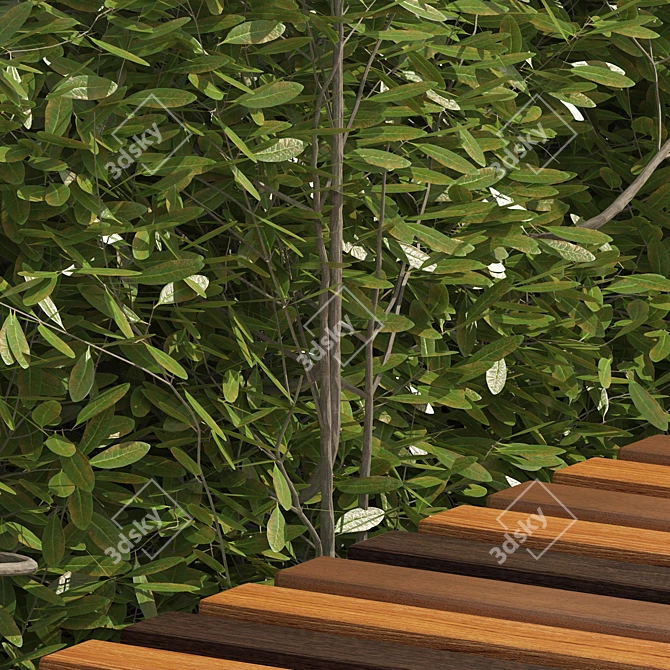 Cherry Laurel Bench with Topiary 3D model image 2