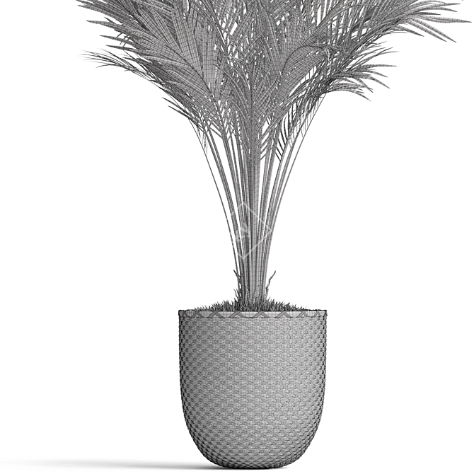  Botanical Collection 775 3D model image 3