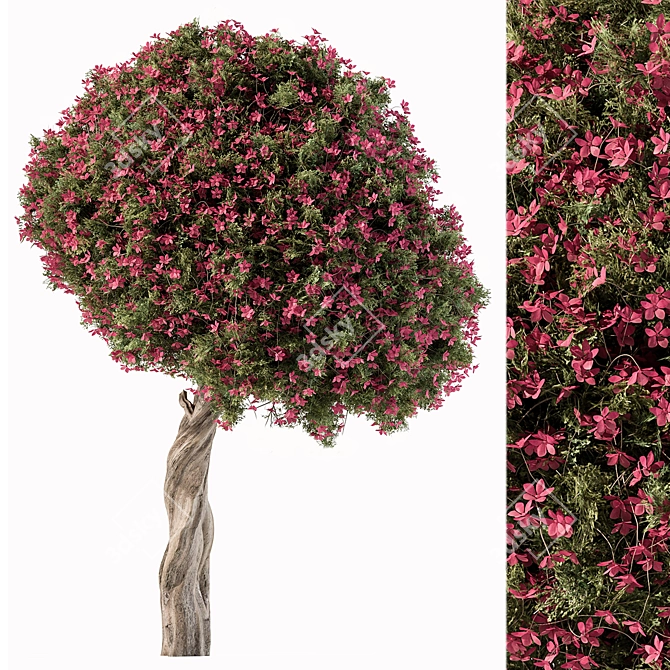 Blossom Branch - Set 104 3D model image 1