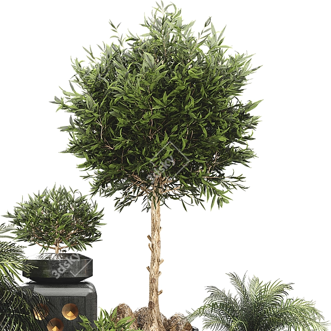 Botanical Plant Collection Set 3D model image 4