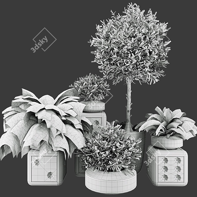 Botanical Plant Collection Set 3D model image 5