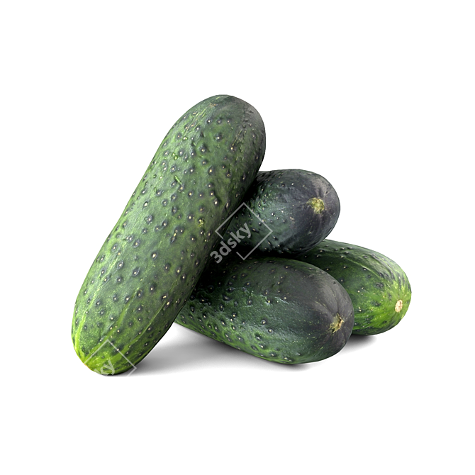  Crisp Fresh Cucumbers 3D model image 1