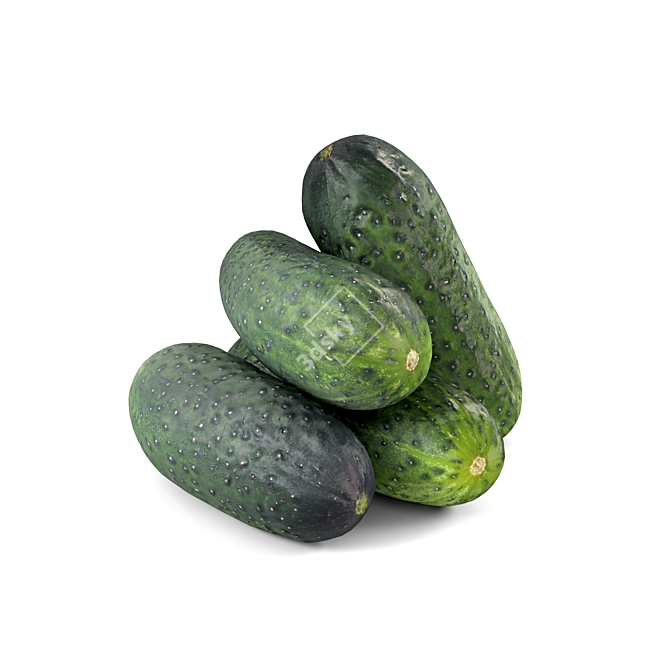  Crisp Fresh Cucumbers 3D model image 2