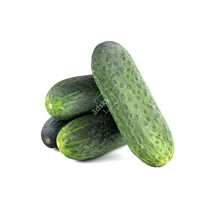  Crisp Fresh Cucumbers 3D model image 3