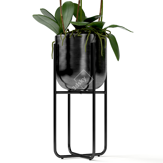 Orchid in Pot | V-Ray-Compatible 3D model image 4