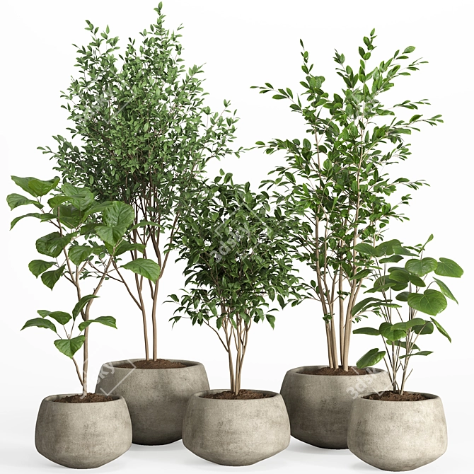 Modern Concrete Pot Indoor Plants 3D model image 1