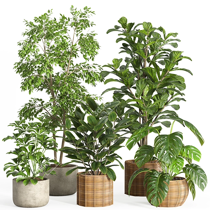 33-Piece Indoor Plant Set 3D model image 1