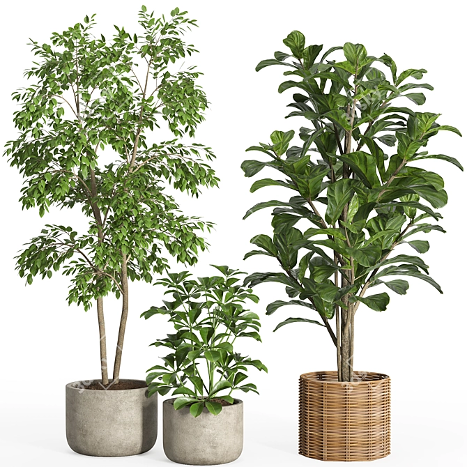 33-Piece Indoor Plant Set 3D model image 2