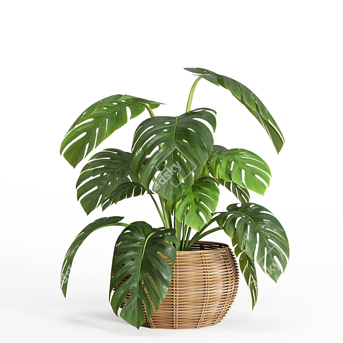 33-Piece Indoor Plant Set 3D model image 3