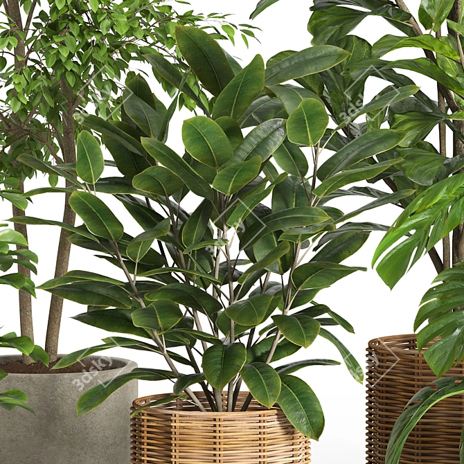 33-Piece Indoor Plant Set 3D model image 4