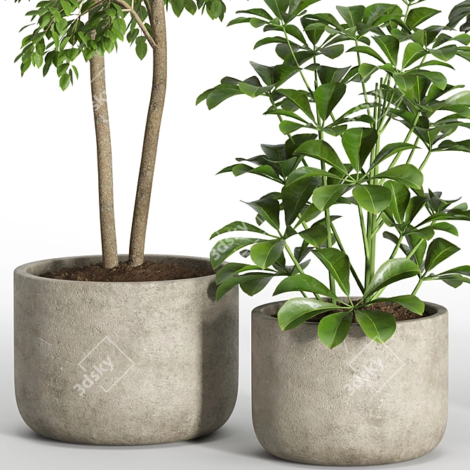 33-Piece Indoor Plant Set 3D model image 5