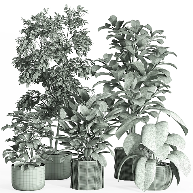 33-Piece Indoor Plant Set 3D model image 6